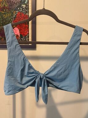 Dippin' Daisy's Light Blue Tie-Front Crop Top